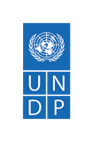UNDP-Logo-Blue-Medium (1)