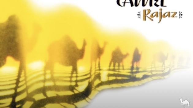 Artwork: الجمل - الصحراء Camel Sahara