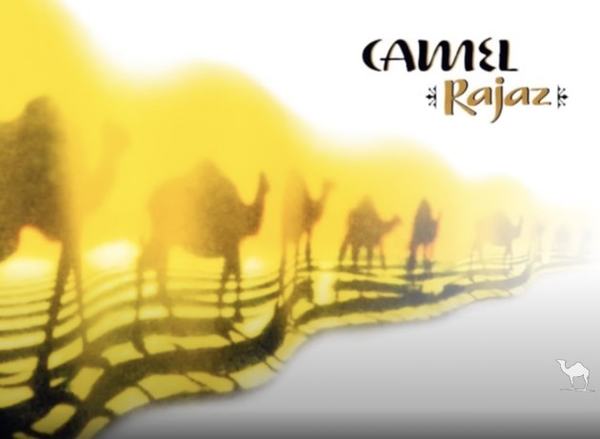 Artwork: الجمل - الصحراء Camel Sahara